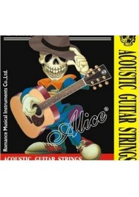 Resim Alice Akustik Gitar Teli 