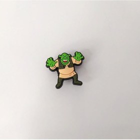 Resim Terlik Ayakkabı Sandalet Süsü Shrek 1 Adet Silikon Kız Erkek Aksesuar Hediye 