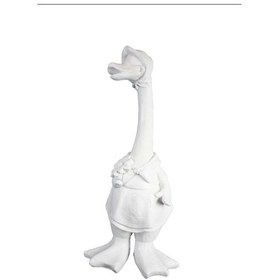 Resim Büyük Bayan Ördek Bahçe 