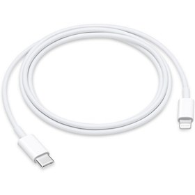 Resim Apple MUQ93ZM/A TYPE-C Lightning Kablosu 1M 