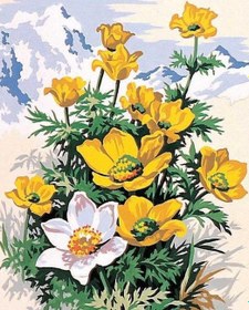 Resim Sayılarla Boyama Seti - Çiçek - 40x50 