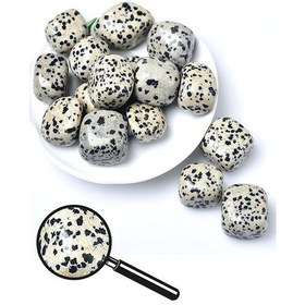 Resim Tamburlanmış Dalmaçyalı Jasper Taşı Kütle 