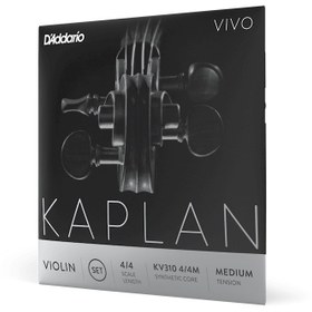 Resim D'Addario KV310 4/4M Kaplan Vivo Keman Teli 