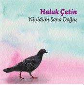 Resim Haluk Çetin - Yürüdüm Sana Doğru CD 