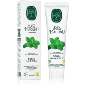 Resim Nessiworld Eyüp Sabri Tuncer Doğal Diş Macunu 90 Gr Nane Özlü 