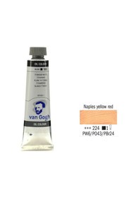 Resim Van Gogh 40 ML Yağlı Boya Seri:1 No:224 Naples Yellow Red 