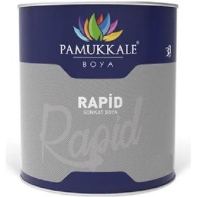 Resim Pamukkale 1402 Rapid Endüstriyel Boya 5 Kg Kirli Beyaz Ral 9002 