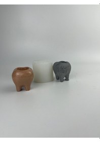 Resim Diş Model Silikon Kalıp 