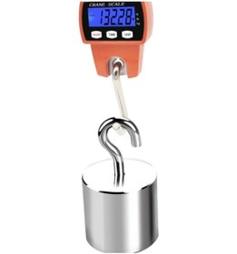 Resim PLT POWER 300Kg Kancalı Vinç-Caraskal Askı Terazi 