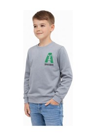 Resim Baglan Erkek Çocuk Önü Baskılı Sweatshirt Bgl-st05234 Gri 