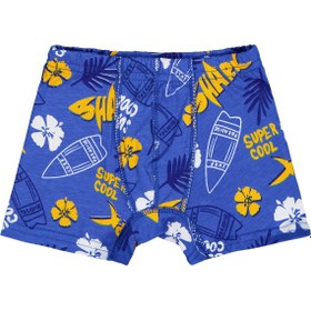 Resim Domi Kids Shark 2-8 Yaş Erkek Çocuk 2'li Boxer - Standart / 6-7 Yaş 