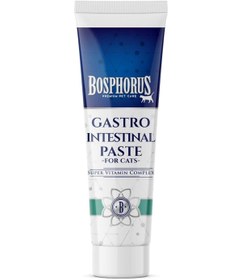 Resim Genel Markalar Kediler için Sindirim Sağlığı Gastrointestinal Malt Macunu 100 Gram 