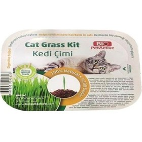 Resim Bio Petactive Cat Grass Kit Doğal Kedi Çimi Kiti 