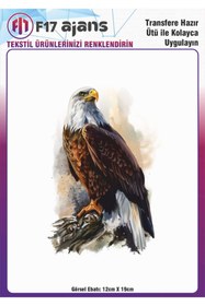 Resim F17 Ajans Ütü ile Yapışan Tekstil DTF Transfer Baskı Kartal 