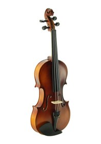 Resim Keman Stanislava Öğrenci Stv34Br 