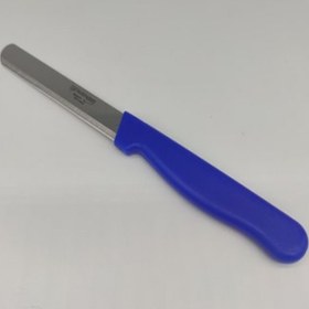 Resim Solingen Mavi Renk Meyve Bıçağı Dilimleme Soyma Bıçağı Mutfak Bıçak Seti Meyve Sebze Bıçak Takımı 