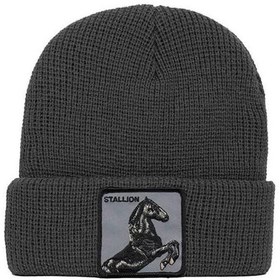 Resim Goorin Bros Bere - Hoof It Gri 