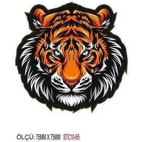 Resim Motorsiklet Otomobil Sticker 2 Adet 065 