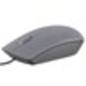 Resim Dell MS116 Optik Mouse Gri (570-AAIT) 
