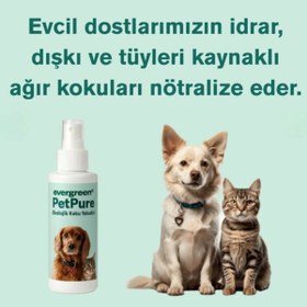Resim PetPure Evcil Hayvan Koku Giderici - Doğal ve Vegan Koku Giderici Sprey - 4 x 125 ml 