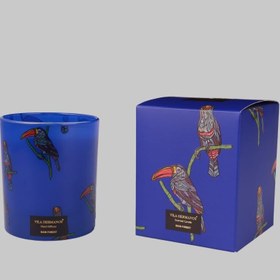 Resim Sarev Toucan Raın Forest Candle 200G Mum, Standart 
