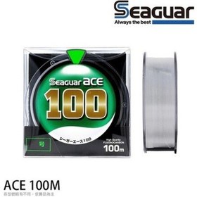 Resim 0.330mm Seaguar Ace %100 Fluoro Carbon Misina 100mt 
