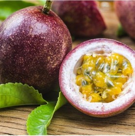 Resim Tüplü Passion Fruit -Tutku-Aşk Meyvesi Fidanı 
