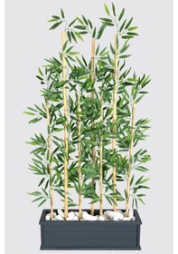 Resim Yapay Çiçek Deposu Islak Yapraklı 7 Çubuklu Gri Saksıda Bambu Seperatör Asorti 20x70x120-155cm 