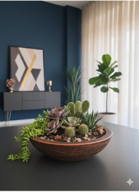Resim Alba Home Decor Dekoratif sukulent kaktüs arajmanlık saksı 