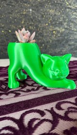 Resim Sevimli Kedi Figür Saksı Opalina Sukulent 2’li Set - Yeşil 