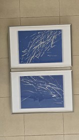 Resim Gümüş Balıklar Resim 2 