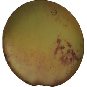 Resim Erbane Frame Drum Bendir, Daf, Tambourine With 