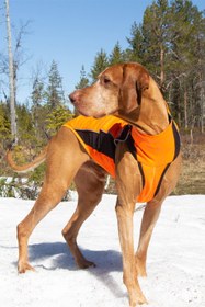 Resim Eddie Reflektörlü Köpek Montu Iontex Turuncu - Turuncu / 45 cm 