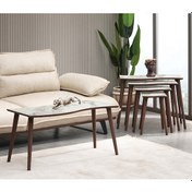 Resim Vovvahome Salsa 4lü Mdf Ahşap Zigon Sehpa Ve Orta Sehpa - Beyaz 