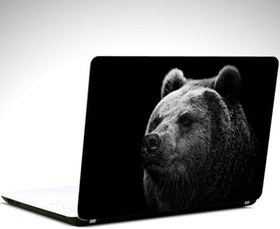 Resim Ayı Laptop Sticker 10 Inch (25X19Cm) 