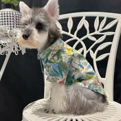 Resim Tropikal Havayolu Köpek ve Kedi Tişörtü - Hafif Yaz Plaj Giyimi, Canlı Tropikal Baskı, Nefes Alabilen Polyester, Kolay Bakım, Günlük Konfor | Yaz Köpek Giyimi | Dokuma Desen 