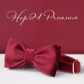 Resim Cat collar with bell bell cat collar bow tie 745094 - Orange Collar + Bow Tie / L 20-32cm 