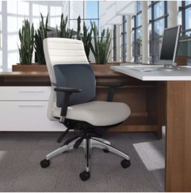 Resim Ankaflex Lıfestyle Ortobedik Bel Yastığı Sandalye Sırt Desteği Ofis Koltuk Minderi 