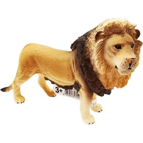 Resim Schleich Erkek Aslan 17107 