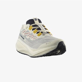 Resim Salomon Aero Blaze 3 Grvl Gore Tex Erkek Beyaz Koşu Ayakkabısı L47953200 Beyaz 