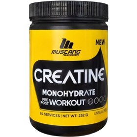 Resim Mustang Nutrition Creatine 252 GR 84 Servis 