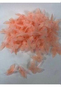 Resim FdayAksesuar Somon Renk Lazer Kesim Kelebek Şerit FRDY10043 