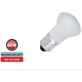 Resim Horoz Halojen Mantar Tip Buzlu Ampul Duy 60W - 10'Lu Paket 