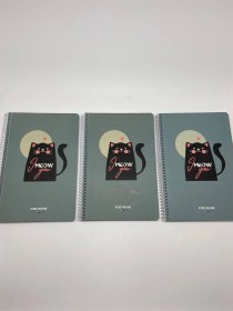 Resim Post-book Spiralli Karton Kapak 17x24 80 Yaprak Kareli Defter 3'lü Meow 