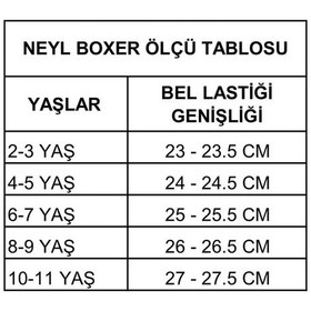 Resim Erkek Çocuk Desenli Boxer 10'lu Karışık 10'lu 