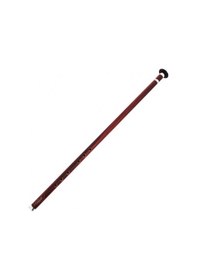 Resim Ney Öğrenci Kız / Si Dnzven Donizetti Kılıf 