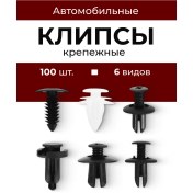 Resim Primeparts Araba Klipsi Seti 100 Adet 6 Çeşit 419994488 
