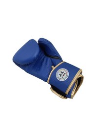 Resim Dragondo 30218-p Martina Muaythai Federasyon Onaylı Boks Eldiveni Mavi 