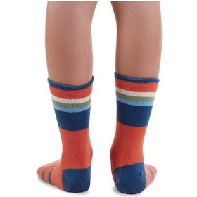 Resim Denokids Hayvanlar Erkek Çocuk 2'li Soket Çorap Renkli 