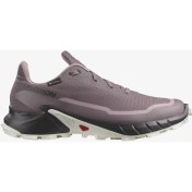 Resim Salomon ALPHACROSS 5 GORE-TEX Kadın Koşu Ayakkabısı Moonscape L47311000 